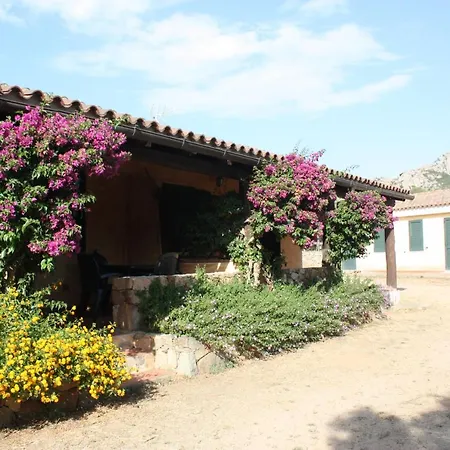 Lu Branu Farm stay Arzachena