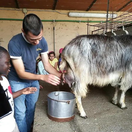 Κατάλυμα σε φάρμα Lu Branu Arzachena