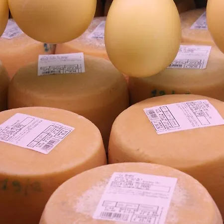 Κατάλυμα σε φάρμα Lu Branu Arzachena