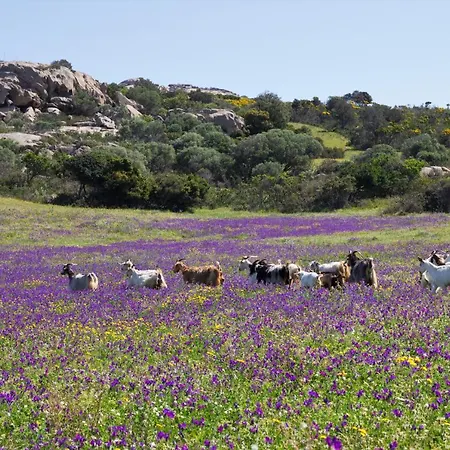 Lu Branu Farm stay *