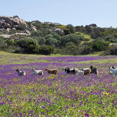 Lu Branu Κατάλυμα σε φάρμα *