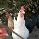 Lu Branu Agroturismo
