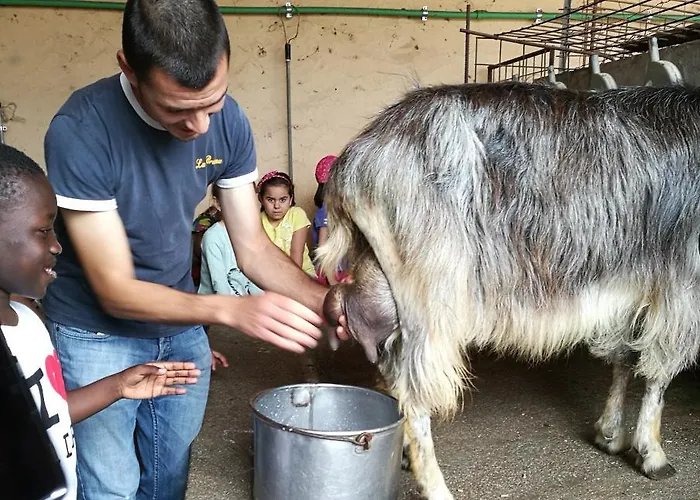 Çiftlik konaklama Lu Branu Arzachena