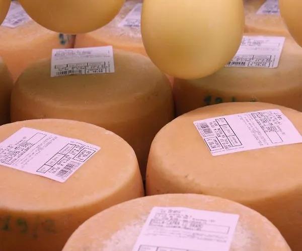 Çiftlik konaklama Lu Branu Arzachena