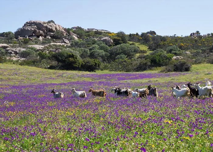 Lu Branu Çiftlik konaklama *